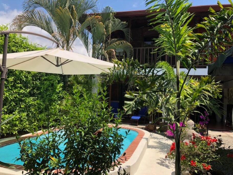 Casa Toucan Mit Privat Pool Near Np Ballena Увита Екстериор снимка