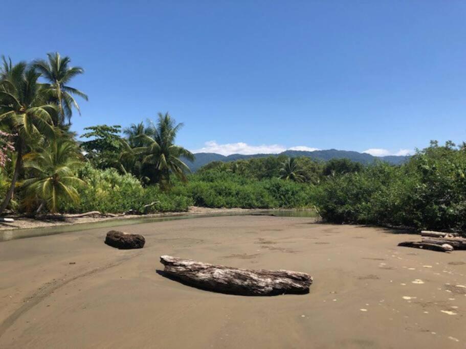 Casa Toucan Mit Privat Pool Near Np Ballena Увита Екстериор снимка