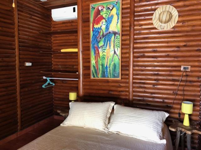 Casa Toucan Mit Privat Pool Near Np Ballena Увита Екстериор снимка