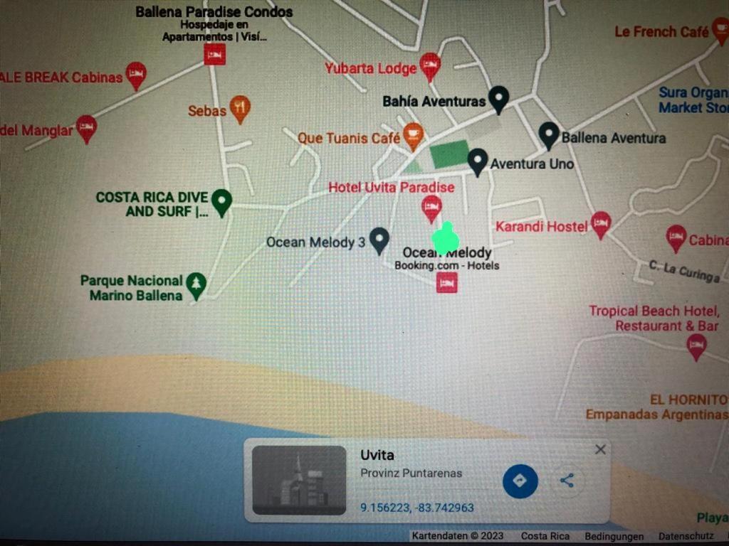 Casa Toucan Mit Privat Pool Near Np Ballena Увита Екстериор снимка