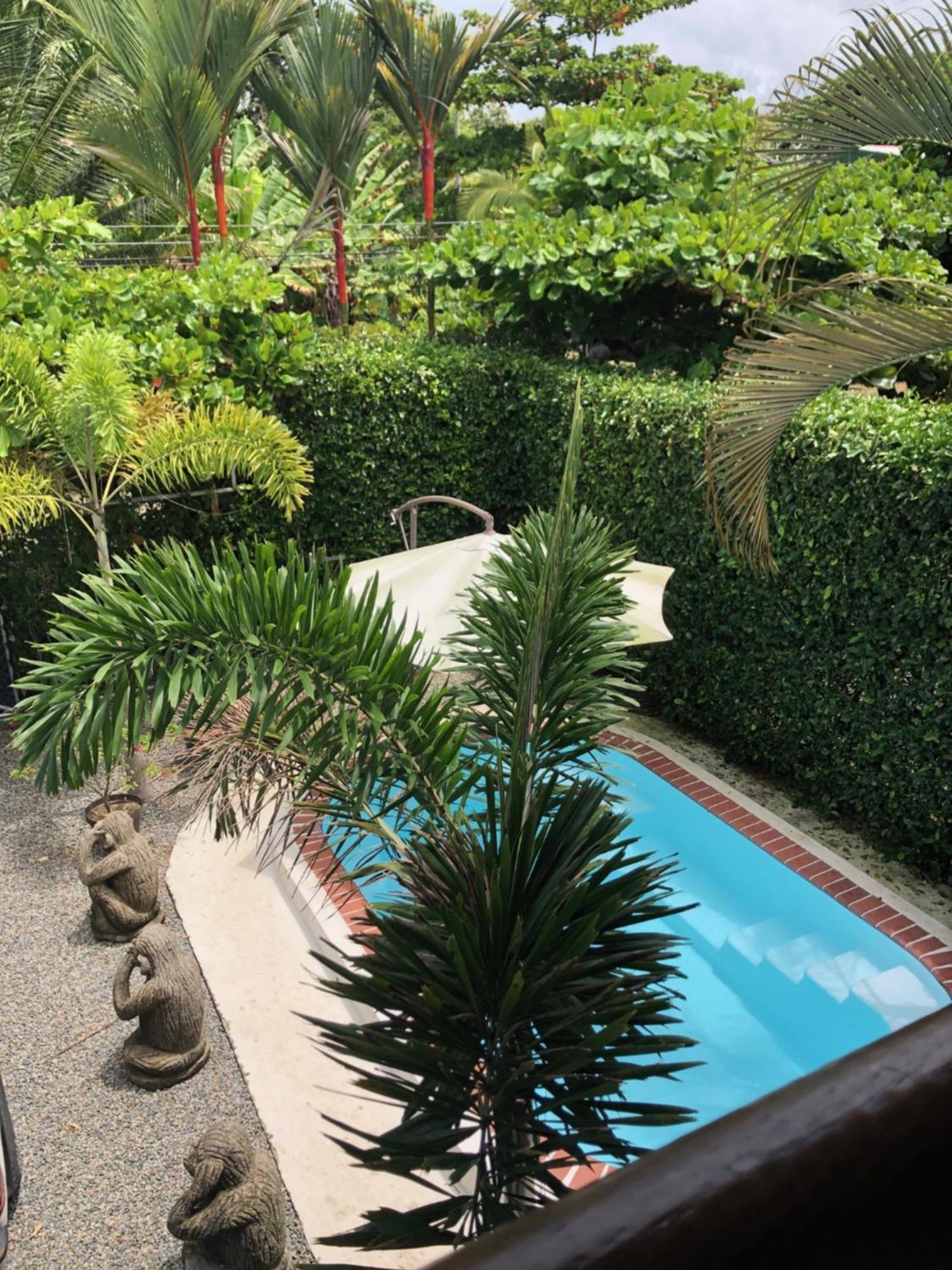 Casa Toucan Mit Privat Pool Near Np Ballena Увита Екстериор снимка