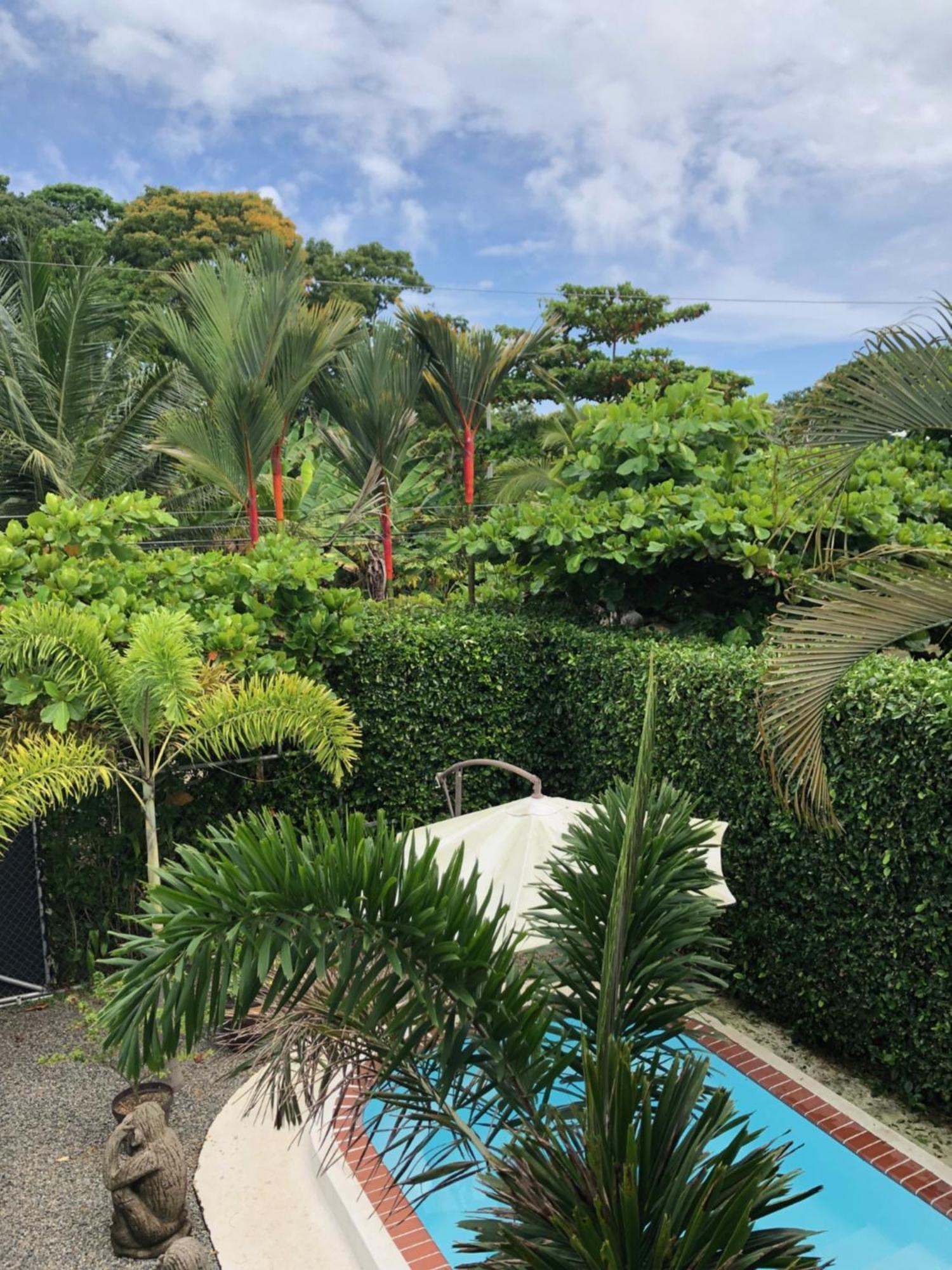 Casa Toucan Mit Privat Pool Near Np Ballena Увита Екстериор снимка