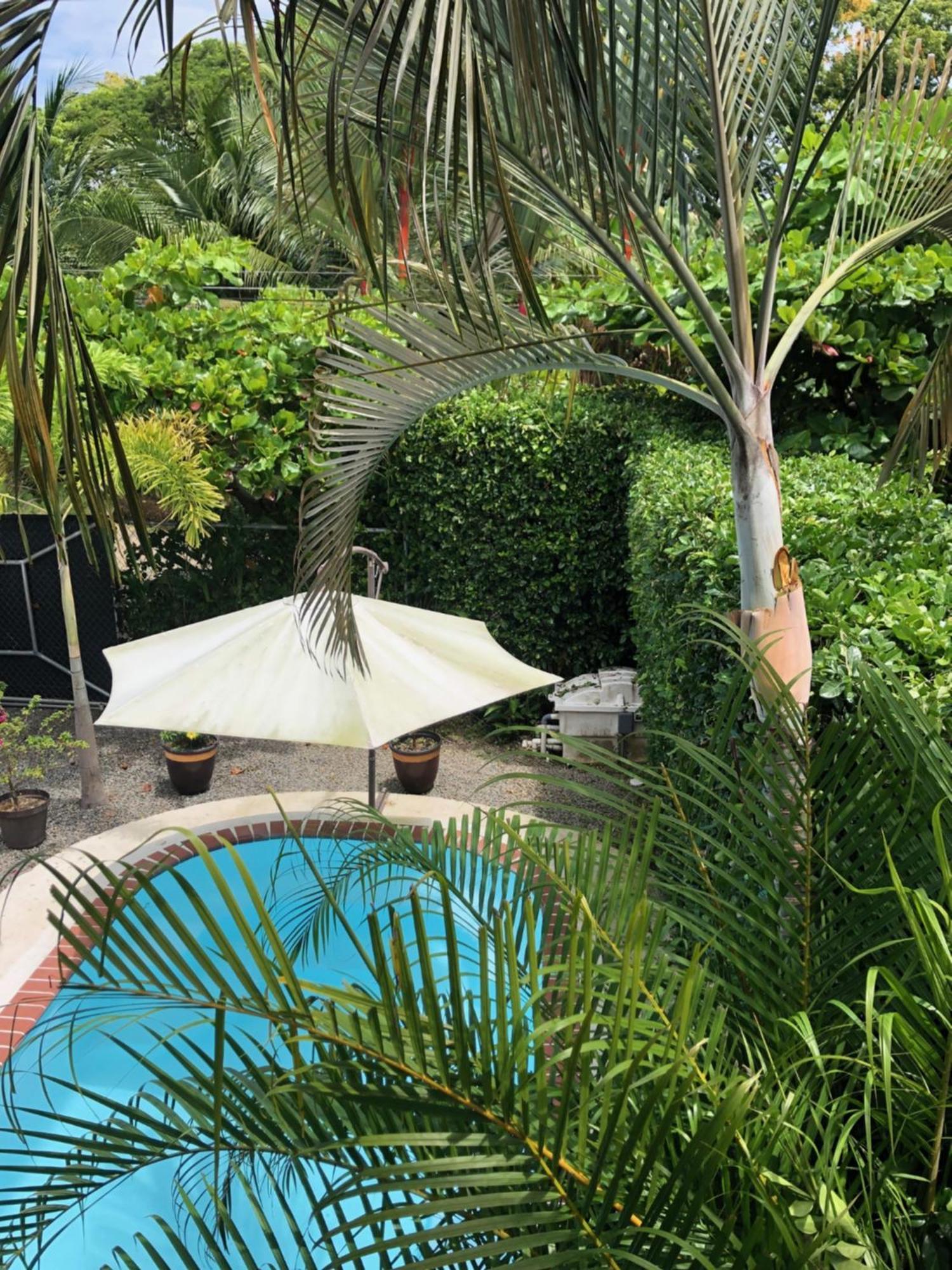 Casa Toucan Mit Privat Pool Near Np Ballena Увита Екстериор снимка